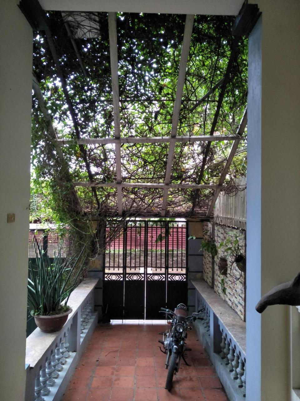 Green Homestay Hanói Exterior foto
